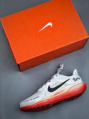 wholesale quality nike pegasus 41 model no. 6